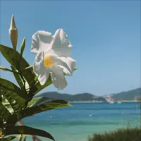 Tour SUPER ISLAND HOPPING TOUR - Navigator Tour review