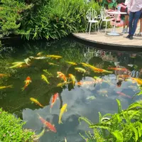 Tour DALAT "FANTASY" - Navigator Tour review
