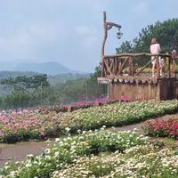 Tour DALAT "FANTASY" - Navigator Tour review