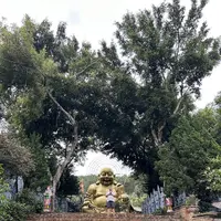 Tour Dalat Premium - Ruskiy Info Centr review