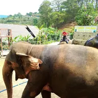 Da Lat