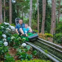 Dalat 2 days
