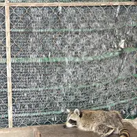 Phan Rang
