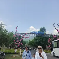 Tour Yang Bay - Centr Turisma Nha Trang review