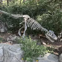 Динопарк в Кемере