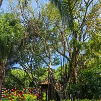 Tour SUPER ISLAND HOPPING TOUR - Navigator Tour review