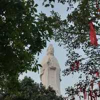 Tour Da Nang and Hoi An 2 days - Navigator Tour review