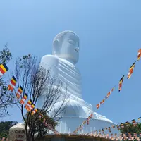 Tour Da Nang and Hoi An 2 days - Navigator Tour review