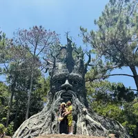 Tour Dalat VIP - Navigator Tour review