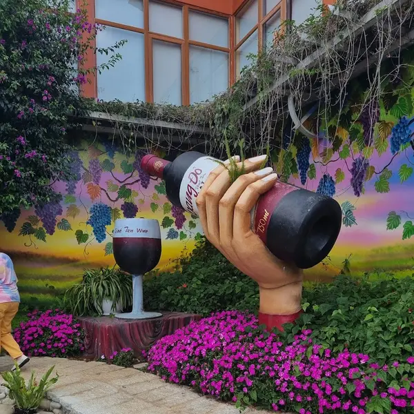 Tour DALAT "FANTASY" - Navigator Tour review
