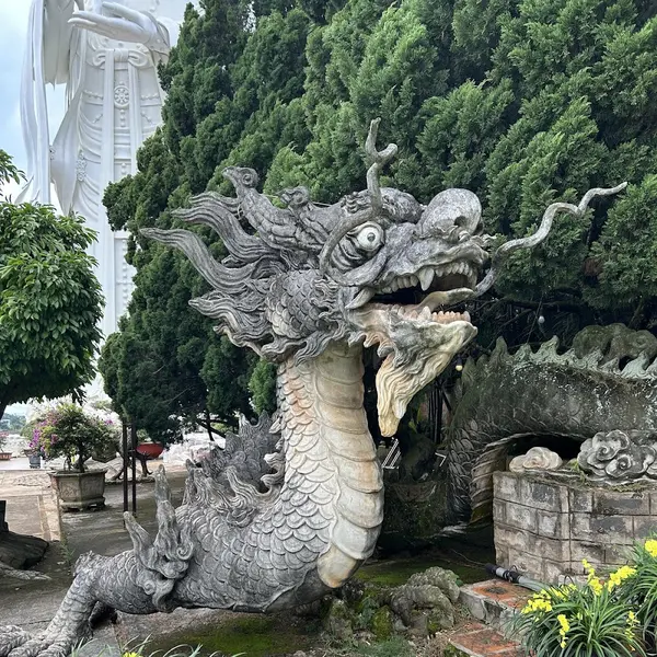 Tour Dalat Premium - Ruskiy Info Centr review