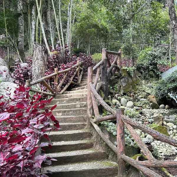 Tour Dalat Premium - Ruskiy Info Centr review