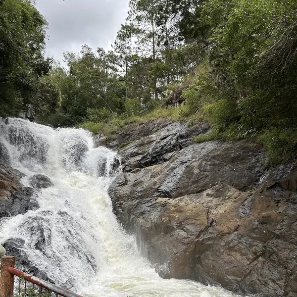 Tour Dalat Premium - Ruskiy Info Centr review