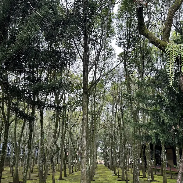 Tour Dalat Premium - Ruskiy Info Centr review