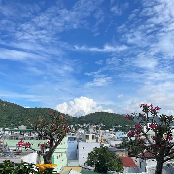 Tour Nha Trang City Tour - Ruskiy Info Centr review