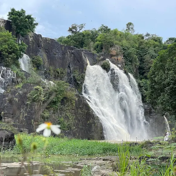 Tour Dalat NEW - Ruskiy Info Centr review