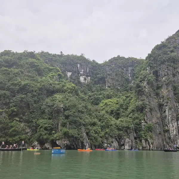 Tour Halong 2-Day Cozy Bay - Ruskiy Info Centr review