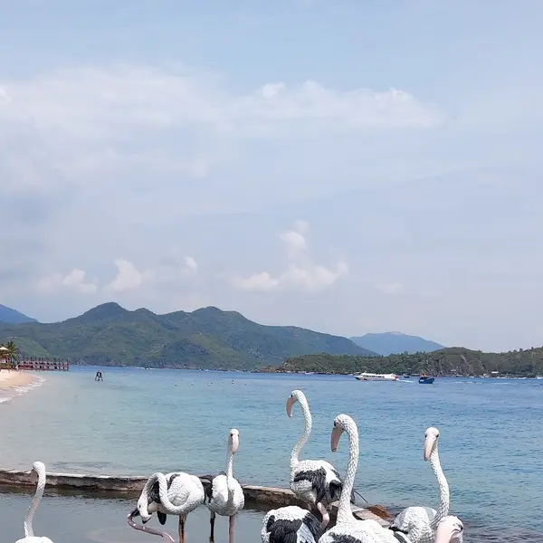 Hon Tam Island