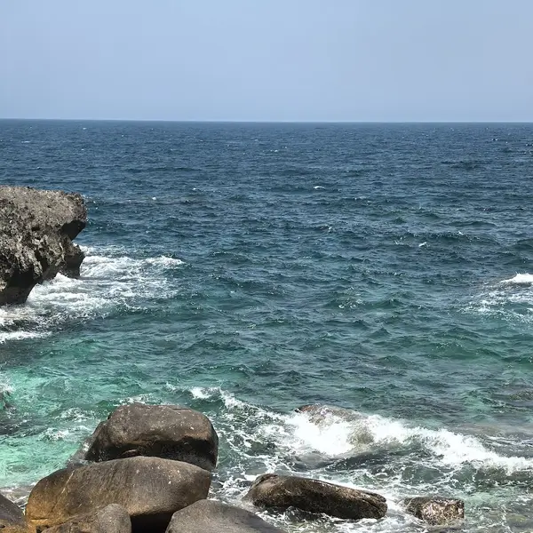 Tour Phan Rang - Centr Turisma Nha Trang review