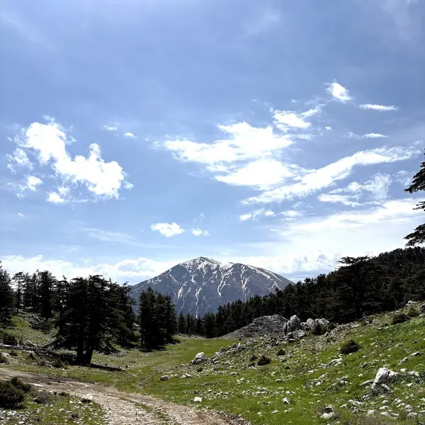 Jeep Safari in Kemer