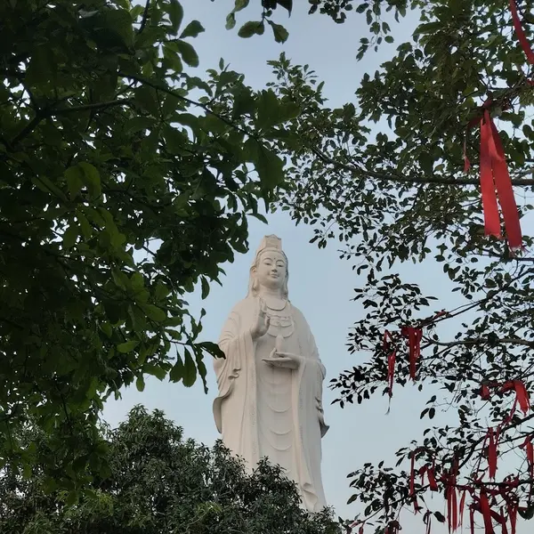 Tour Da Nang and Hoi An 2 days - Navigator Tour review