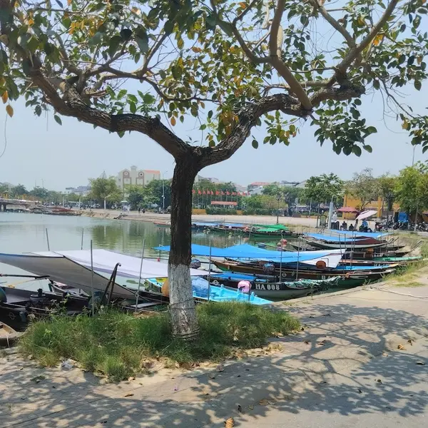 Tour Da Nang and Hoi An 2 days - Navigator Tour review