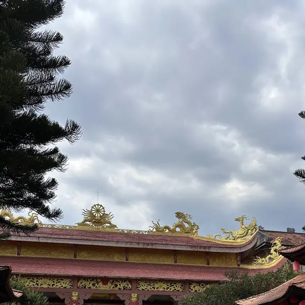 Tour Dalat VIP - Navigator Tour review